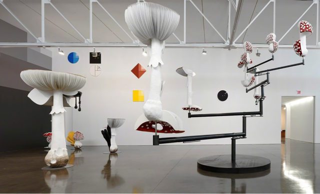 Exposición de Carsten Höller será exhibida en el Museo Tamayo Artsy - Exposición de Carsten Höller será exhibida en el Museo Tamayo