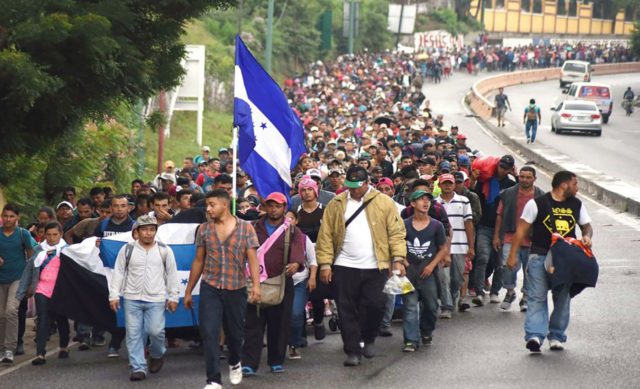 Entre las fronteras de la comprensión y la legalidad Diario libertad
