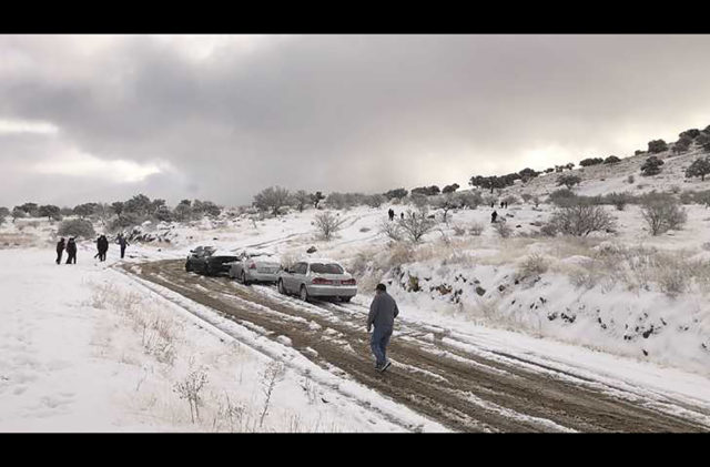 Nevadas causan afectaciones en miles de hectáreas de cultivo en Sonora Se esperan temperaturas menores a los -3 grados