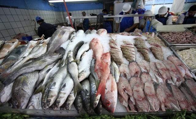 Hidalgo consumirá 4 mil toneladas de pescado en cuaresma Posta - Hidalgo consumirá 4 mil toneladas de pescado en cuaresma
