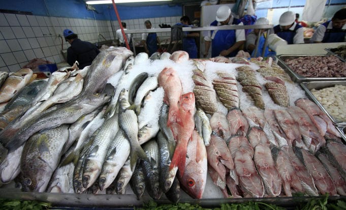 Posta - Hidalgo consumirá 4 mil toneladas de pescado en cuaresma