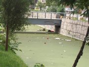 Sheinbaum anuncia rescate del Canal Nacional