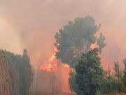 Puebla, número uno en incendios en 2019