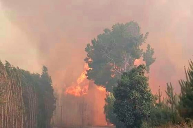 Puebla, número uno en incendios en 2019