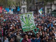 Prohibición total de la marihuana violenta derechos de los consumidores