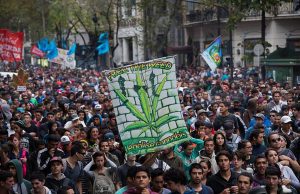 Prohibición total de la marihuana violenta derechos de los consumidores