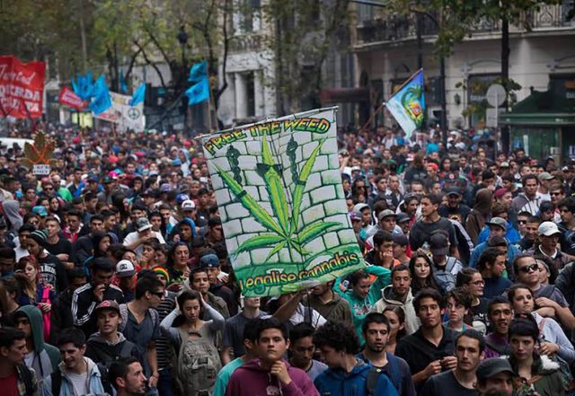 Prohibición total de la marihuana violenta derechos de los consumidores