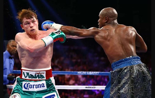 Canelo busca revancha ante Mayweather