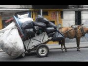 Hasta 2 años de cárcel por maltrato animal en el Edomex Presenta FGE multas a quienes cometan maltrato animal