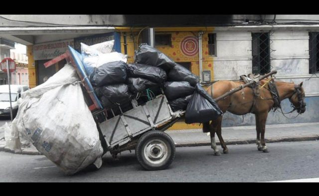 Hasta 2 años de cárcel por maltrato animal en el Edomex Presenta FGE multas a quienes cometan maltrato animal