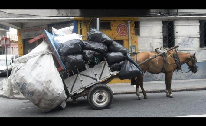 Presenta FGE multas a quienes cometan maltrato animal