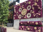 Presidente Masaryk se llenará de color con el Festival Flores y Jardines Horloger - Presidente Masaryk se llenará de color con el Festival Flores y Jardines