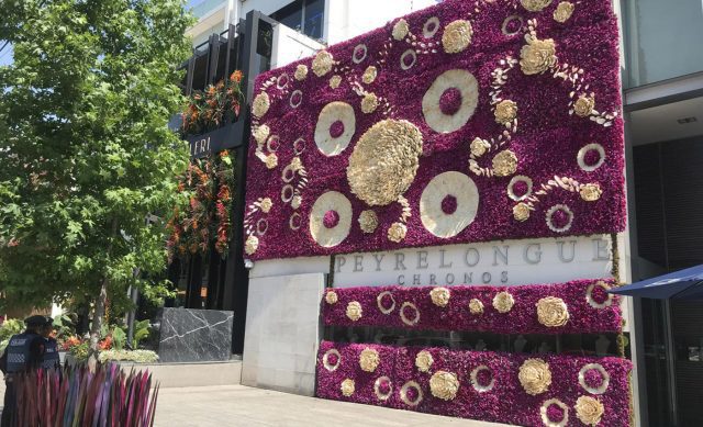 Presidente Masaryk se llenará de color con el Festival Flores y Jardines Horloger - Presidente Masaryk se llenará de color con el Festival Flores y Jardines