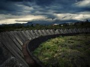 Acusan poco interés en preservar Reserva Ecológica de la UNAM Acusan poco interés en preservar Reserva Ecológica de la UNAM