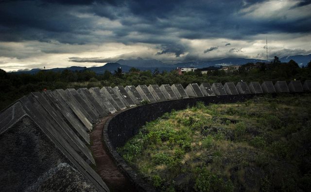 Acusan poco interés en preservar Reserva Ecológica de la UNAM Acusan poco interés en preservar Reserva Ecológica de la UNAM