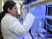 IPN perfecciona sistema de tratamiento de agua mediante ozonación IPN perfecciona sistema de tratamiento de agua mediante ozonación