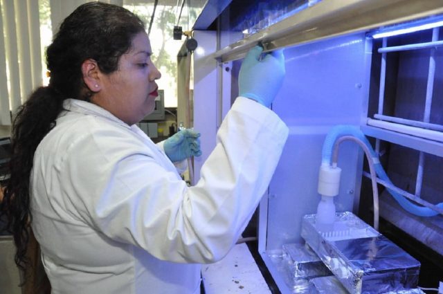 IPN perfecciona sistema de tratamiento de agua mediante ozonación IPN perfecciona sistema de tratamiento de agua mediante ozonación