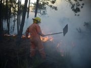 Incendio en Veracruz afecta más de 400 hectáreas de zona protegida La reserva de San Juan del Monte es la más afectada