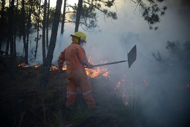 Incendio en Veracruz afecta más de 400 hectáreas de zona protegida La reserva de San Juan del Monte es la más afectada