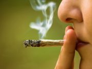 PAN, Morena y MC van por la despenalización de la marihuana Revista Merca 2.0 - PAN, Morena y MC van por la despenalización de la marihuana