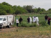 Hallan fosa clandestina en Sonora; se han exhumado 5 cadáveres