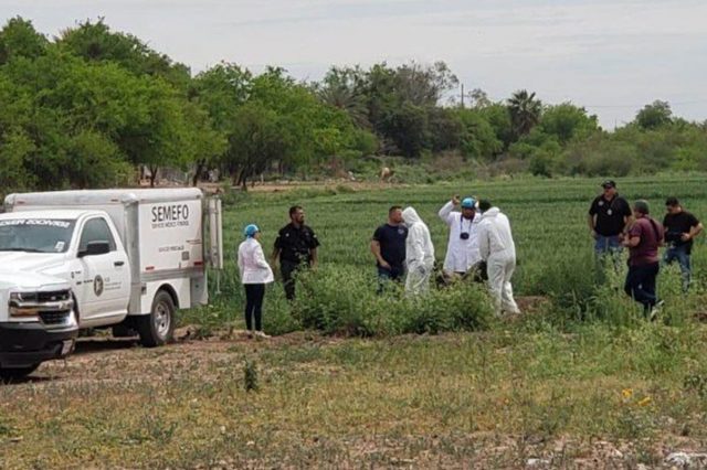 Hallan fosa clandestina en Sonora; se han exhumado 5 cadáveres