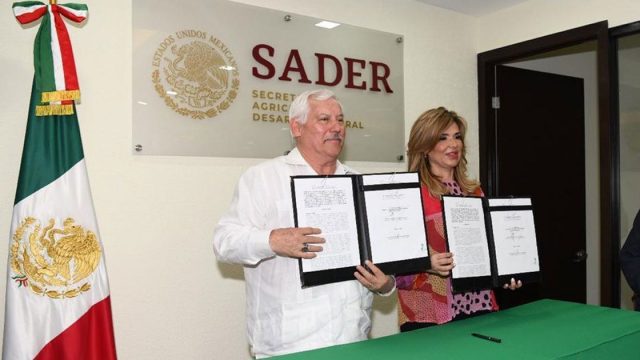 La Secretaría de Agricultura ya tiene sede en Sonora Se va la Sader a Ciudad Obregón