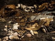 Arqueólogos creen estar cerca de los restos de algún emperador mexica Las ofrendas encontradas podrían ser parte de la tumba de Ahuitzotl