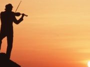 El violinista amante de los gatos