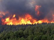 Más de 600 incendios afectaron a la CDMX en 2019 Tlalpan, Xochimilco y Milpa Alta, las alcaldías más afectadas