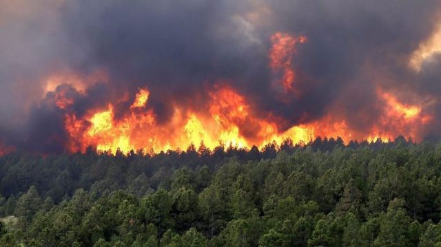 Más de 600 incendios afectaron a la CDMX en 2019 Tlalpan, Xochimilco y Milpa Alta, las alcaldías más afectadas