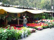 Comerciantes de Cuemanco crean autodefensas para combatir la delincuencia Acusan complacencia de las autoridades capitalinas con el crimen organizado