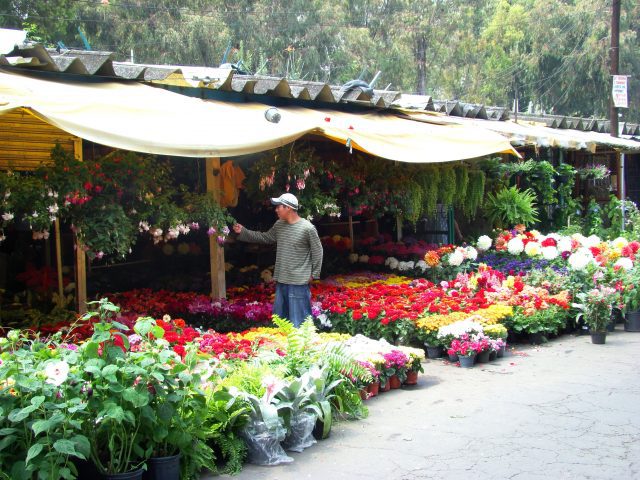 Comerciantes de Cuemanco crean autodefensas para combatir la delincuencia Acusan complacencia de las autoridades capitalinas con el crimen organizado