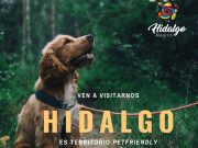 Hidalgo emprende campaña turística pet friendly Hidalgo emprende campaña turística pet friendly