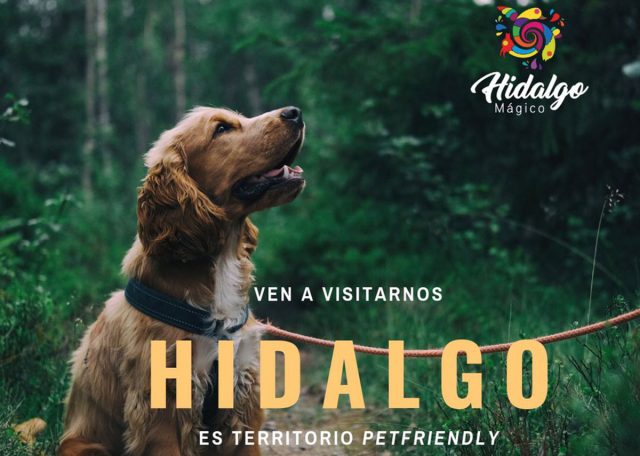 Hidalgo emprende campaña turística pet friendly Hidalgo emprende campaña turística pet friendly
