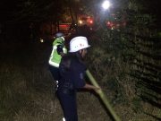 Se registró un incendio en el Bosque de Chapultepec durante la madrugada