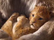 Timón y Pumba brillan en el nuevo tráiler de «El rey León» NDTV Gadgets - Timón y Pumba brillan en el nuevo tráiler de «El rey León»