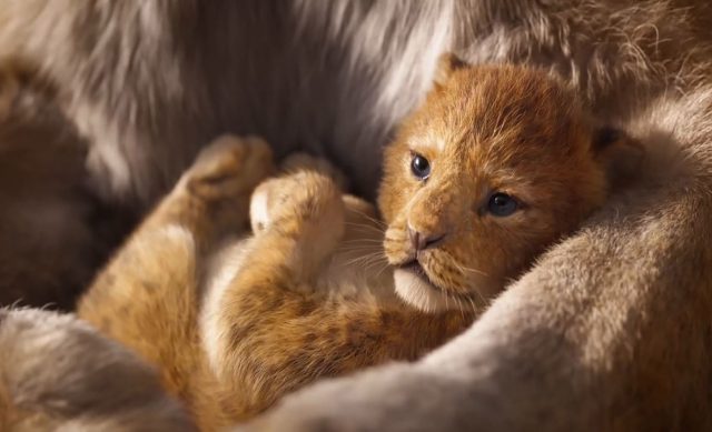 Timón y Pumba brillan en el nuevo tráiler de «El rey León» NDTV Gadgets - Timón y Pumba brillan en el nuevo tráiler de «El rey León»