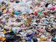 Edomex recibe nueve mil toneladas de basura diarias de la CDMX
