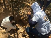 Continúa hallazgo de fosas clandestinas en Sonora; 35 cuerpos han sido exhumados