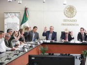 Comisión de Energía del Senado avala ternas de candidatos a la CRE Entre polémicas y acusaciones, se aprobó el dictamen de los 12 aspirantes a la CRE
