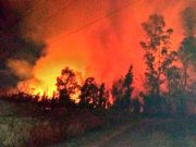 Tras varias horas de trabajo, controlan incendio en Xochimilco