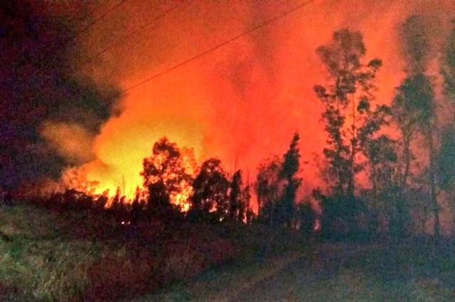 Tras varias horas de trabajo, controlan incendio en Xochimilco
