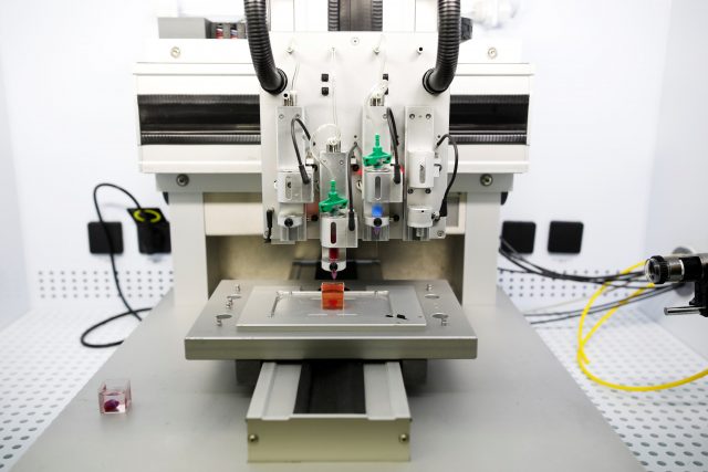 Científicos lograron primera impresión 3D de un corazón con tejido humano y vasos sanguíneos Esperan que en unos años se puedan iniciar los trasplantes en animales