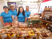Arranca Sonora Fest en Arizona Empresarios sonorenses buscan mayor promoción de sus productos en territorio norteamericano