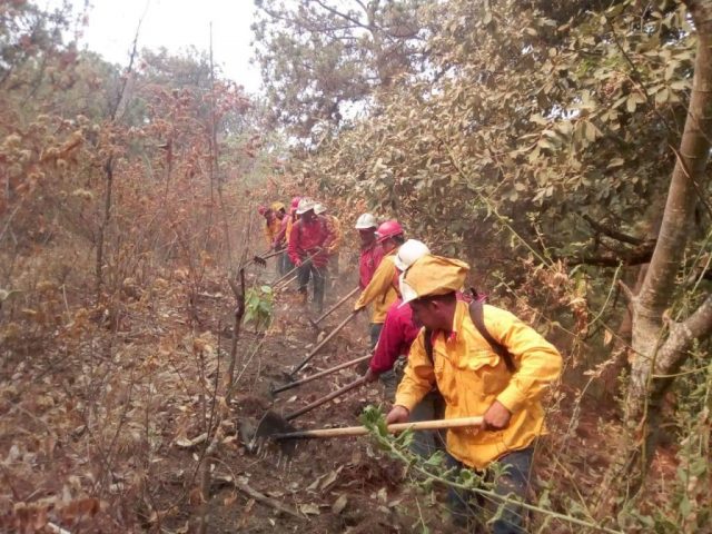 Edomex, la entidad con mayor número de incendios forestales: Conafor