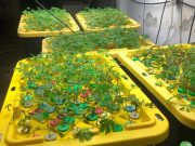 FGR encontró invernadero de marihuana en Ecatepec