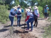 Guerreras Buscadoras inician rastreo de fosas en Hermosillo Guerreras Buscadoras inician rastreo de fosas en Hermosillo