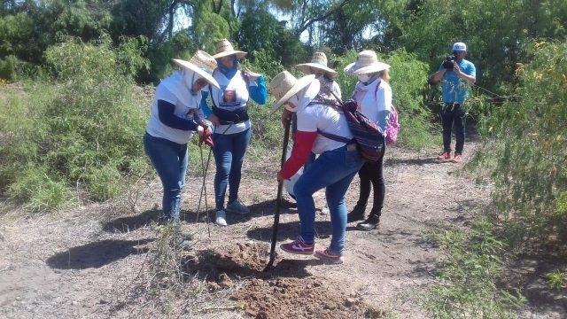 Guerreras Buscadoras inician rastreo de fosas en Hermosillo Guerreras Buscadoras inician rastreo de fosas en Hermosillo