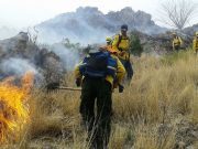 Sonora registra hasta ahora 14 incendios forestales Sonora registra hasta ahora 14 incendios forestales